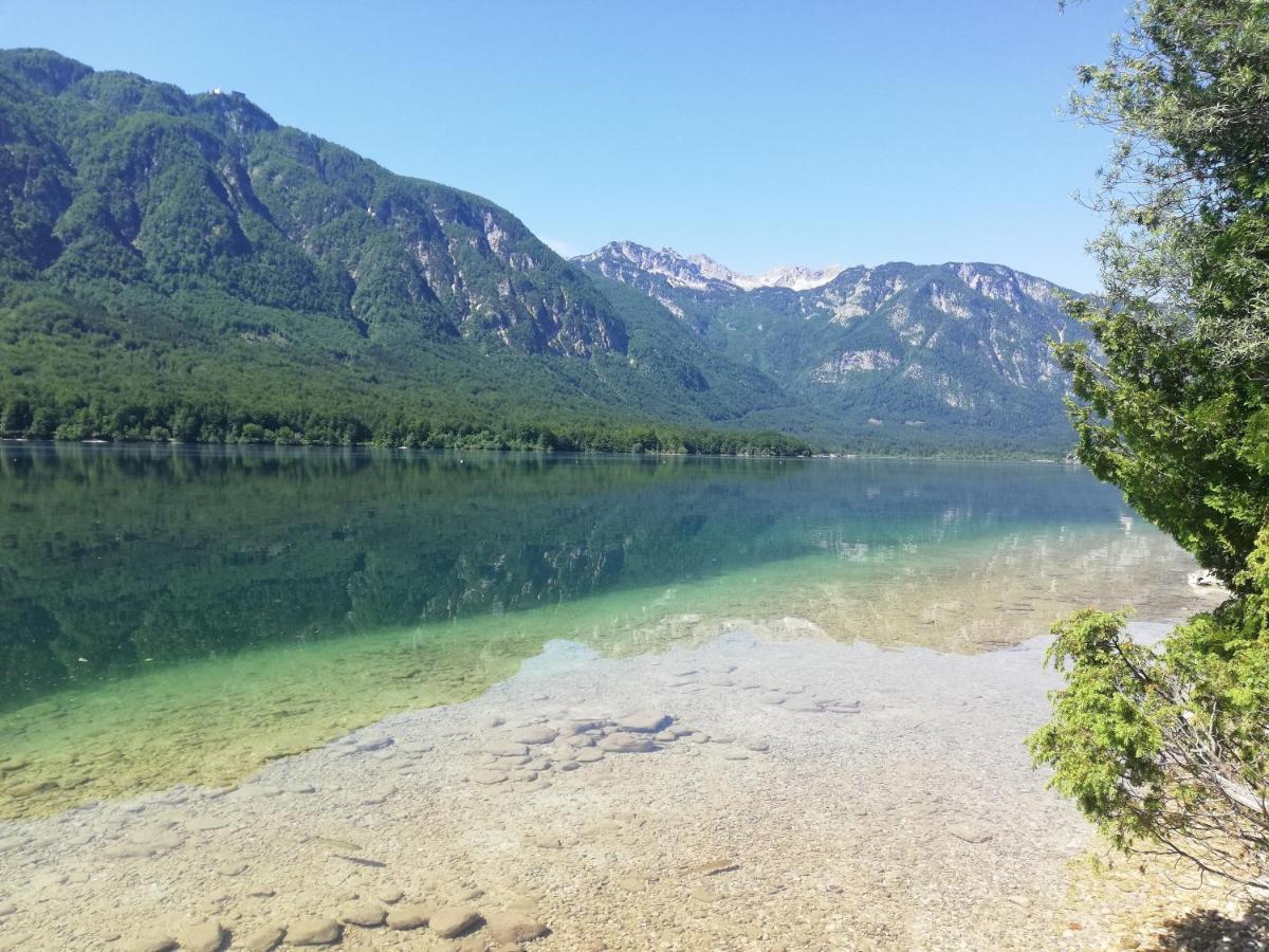 Apartment Mlakar Bohinj Eksteriør bilde