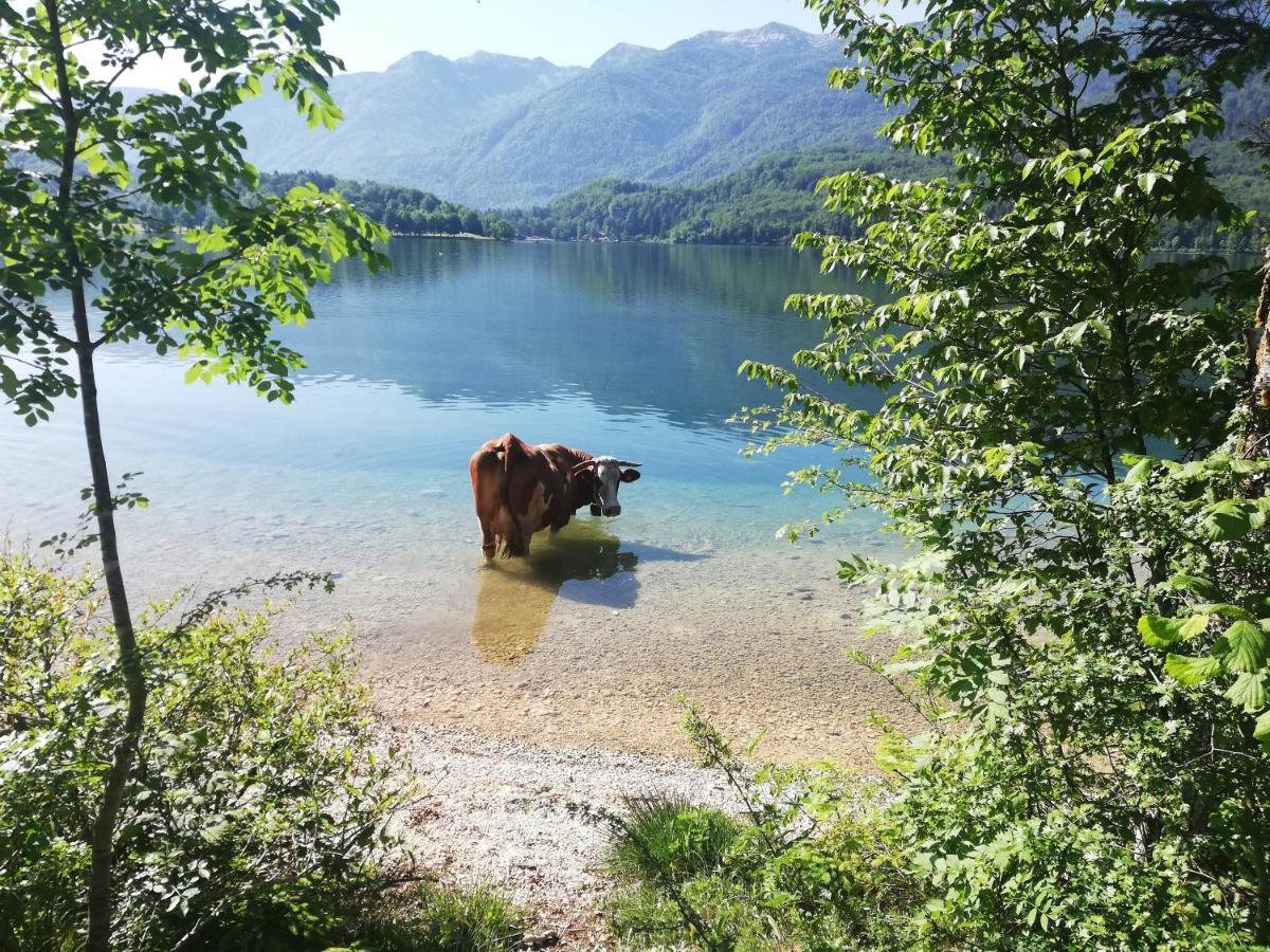 Apartment Mlakar Bohinj Eksteriør bilde