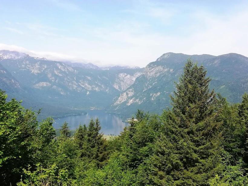 Apartment Mlakar Bohinj Eksteriør bilde