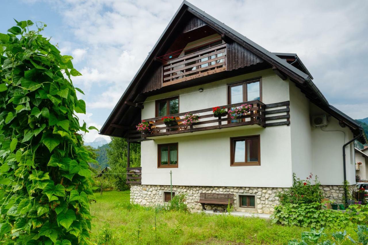 Apartment Mlakar Bohinj Eksteriør bilde